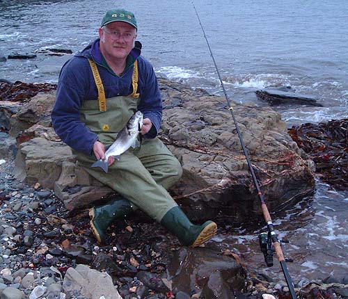 Another shot of the little plugger.