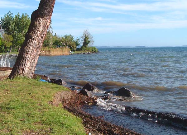 Must have potential!