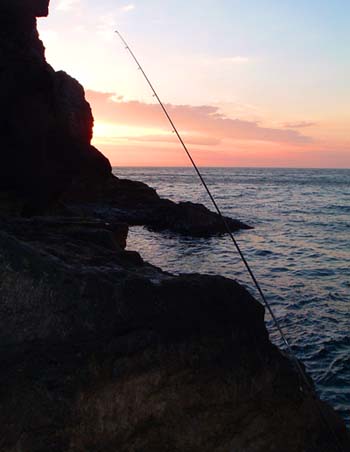 The sun is coming up behind the cliff so not much chance of a pollack now. Time to pick up the spinning rod for a final chuck.