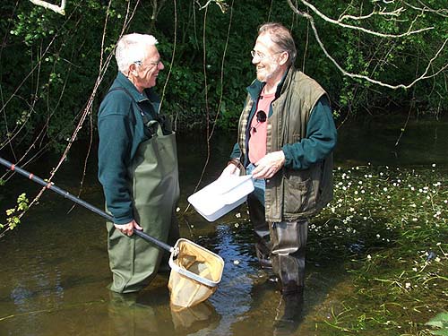 Why are we so cheerful when there's no sign of a mayfly?