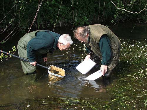 By this time we 'had' to make an effort. (both these pictures by Sarah Blunt)