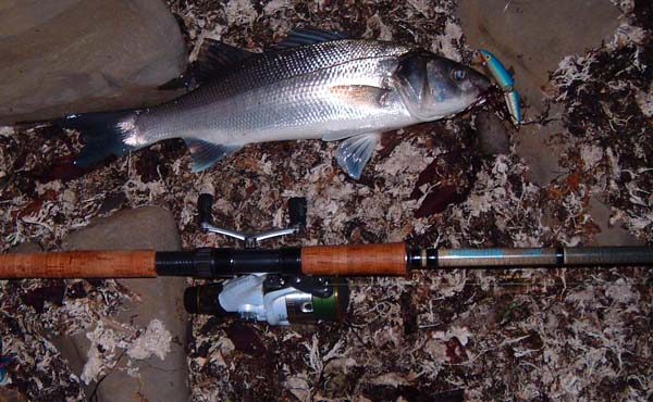 This is the one I landed first.