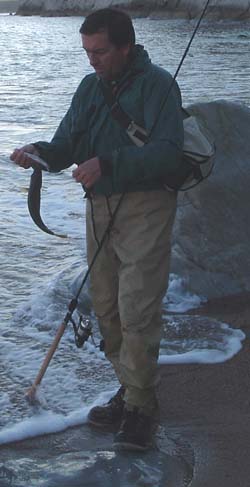 Steve Pitts had this one on a 'Maria Chase' (they do have weird names).