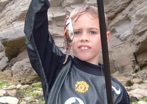 A little fat male. Notice the blue black papilla on the vent - only present when they are breeding.