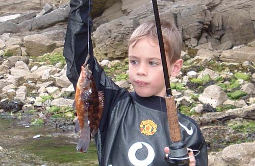 Only a baby but bigger than any of the corkwings.