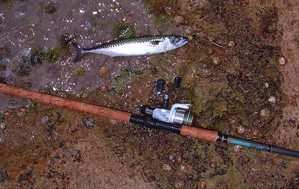 Reached and hooked using a small metal spoon.