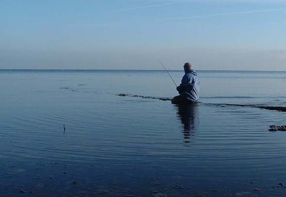 Thank heavens for chesties.