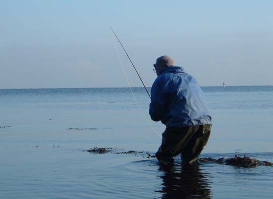 It was futile to cast but I couldn't resist.