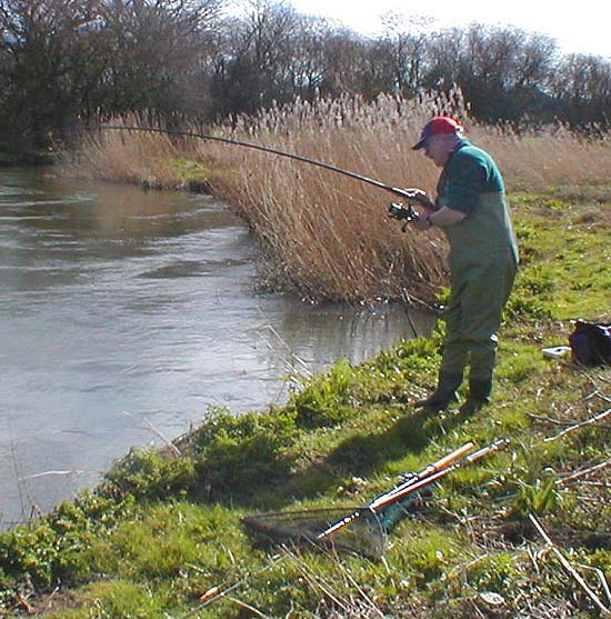 The fish was in the corner of the reeds, just by his feet.