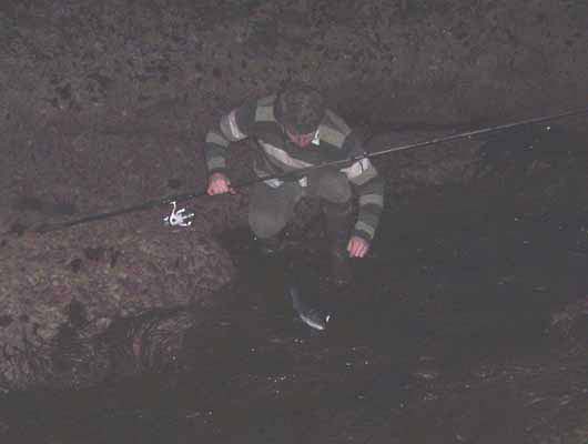 It was still pretty gloomy when the bass took. A cracking fish!