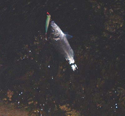 Clearer but less interesting.