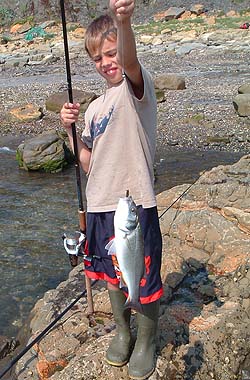 I expect that this one will go in the album.