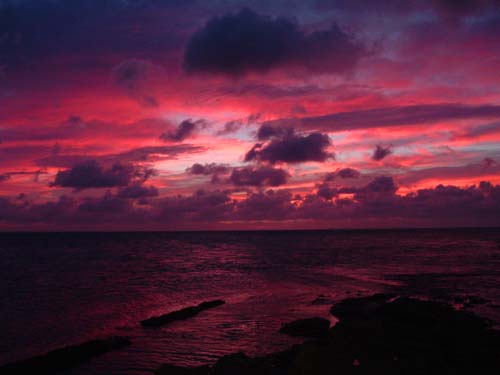 I'm looking out over the race on the Dorset coast - just after returning my first bass of the session. (It's real - no digital enhancement).