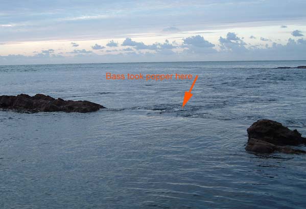 I was casting from just out of shot (from where I took the picture).