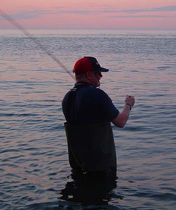 Nigel flicks out a streamer fly. On the evening in question bass seemed to be absent and the mullet weren't interested in anything but surface floating maggots.