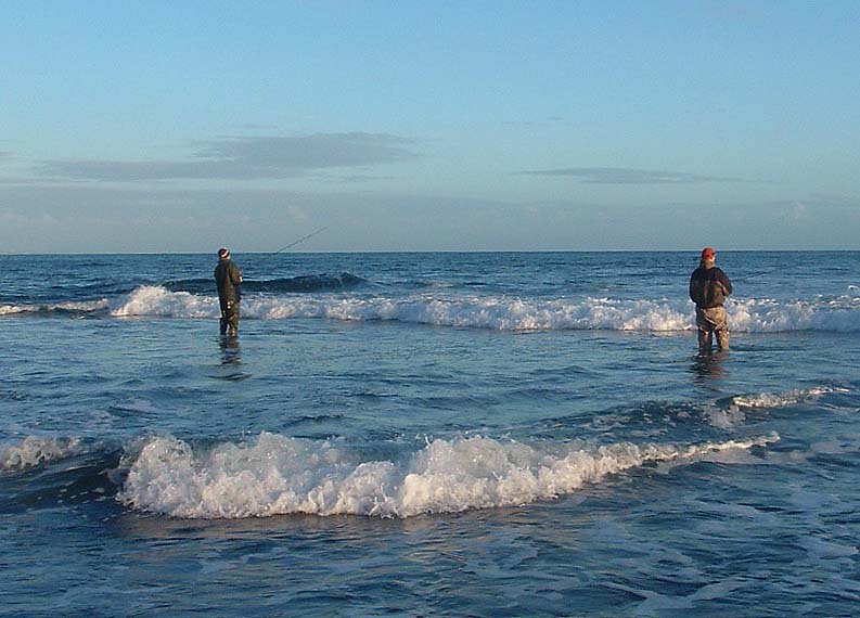 They had a good dozen bass and a wrasse (all returned), mostly at distance.