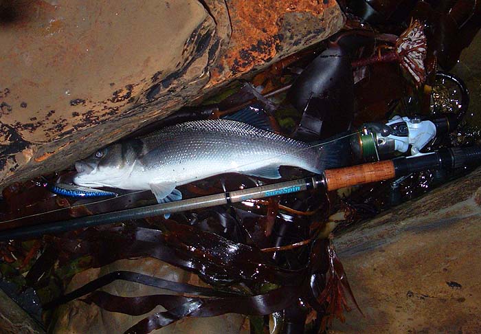 This one made amistake and took my plug.