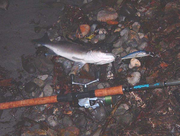 Again taken on the Maria at range.