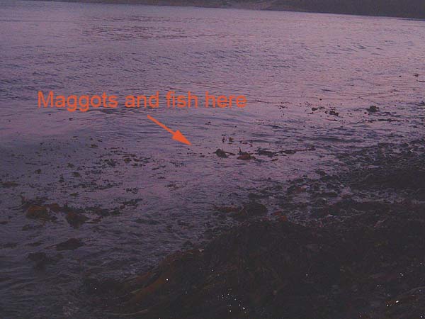 I took the picture between two crashing swells.