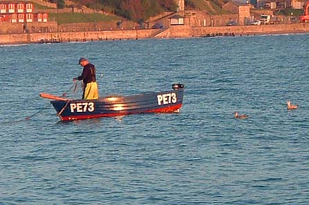 A small ?pollack? comes to hand. There were many more.