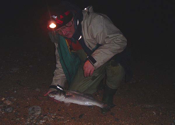 Nigel's second bass of the two hour session.