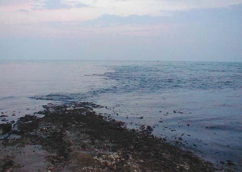 The race is easily reached from the rocks, even with a light plug. Nothing doing!