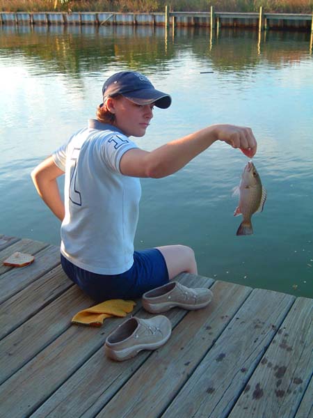 One of the first 'bread caught' fish. They grow to over two feet (60cm) long.