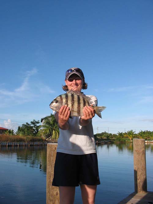 Jees! This didn't half pull on the little handline. We feel that, had we tried, the sport to be had on light leger gear could have been very good - with the possibility of everything from stingrays to jewfish.