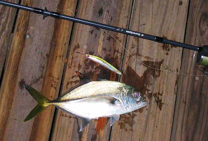 God do these little ******s fight.