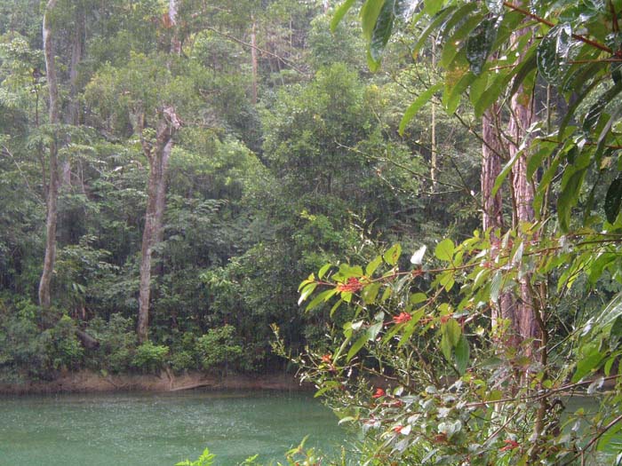 Of course in rain forest it sometimes rains but this almost enhances the beauty of the rivers (as long as you have a mac).