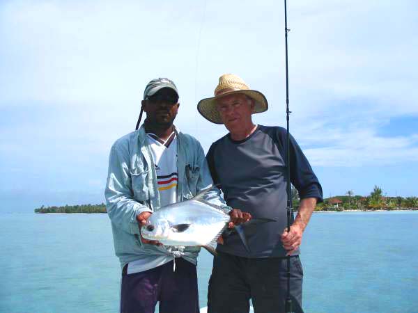 Even seconds after capture the irridescent violet colour seems to have faded.