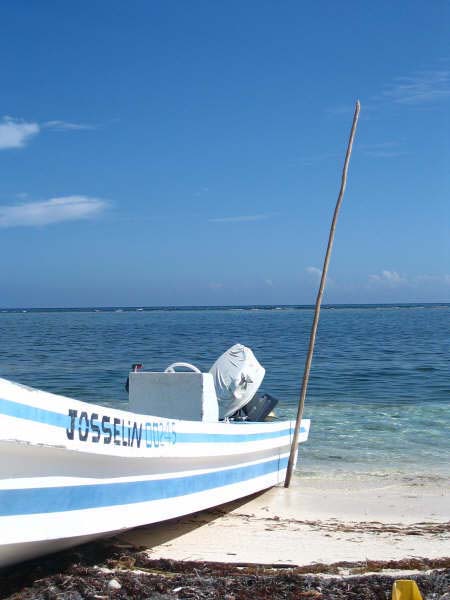 A typical island near the reef.