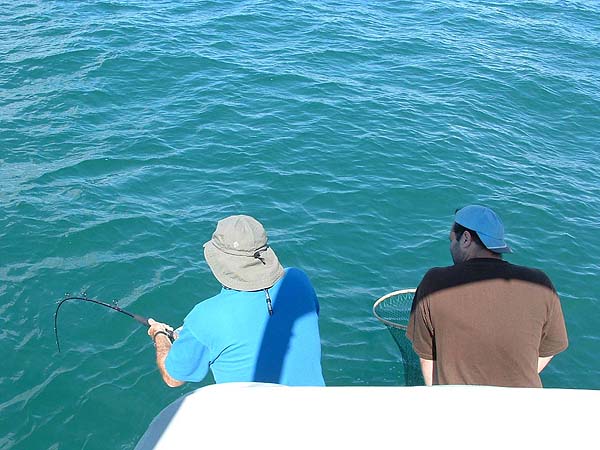 Alan's big snapper makes another bid for freedom.