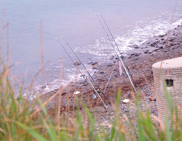 A hell of a lot of fishing for two small fish.