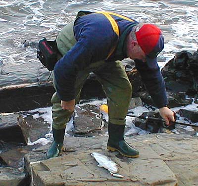 The middle treble of Nigel's repainted J13 is well in the corner of the fishes' mouth.