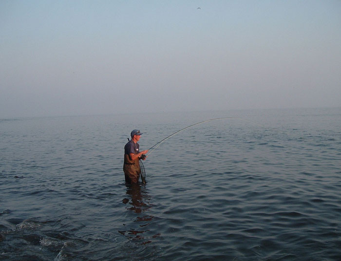 In fact Adrian had already played this fish for a good five minutes before I picked up the camera.