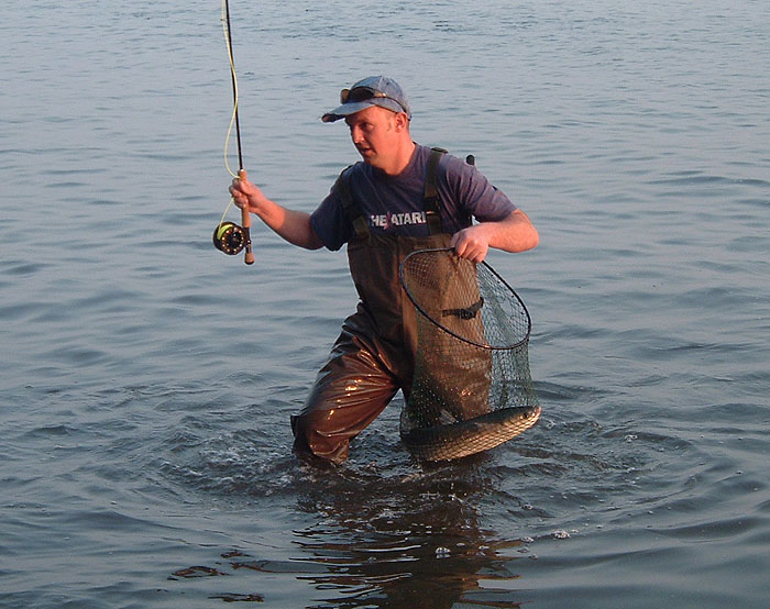At last it's in the net - still a bit thin but what a beauty.