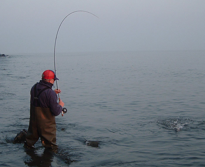 On a short line the fish splashes and sets off on another run.