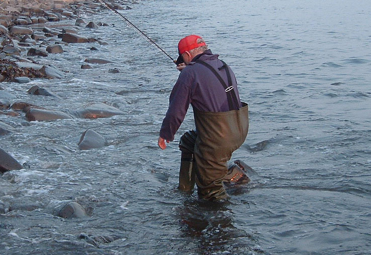 Nigel shepherds his fish ashore and prepares to pick it up.