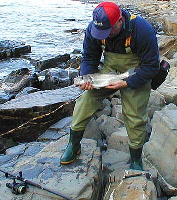 Successes like this provide the incentive for the next trip, even when the bass are thin on the ground.