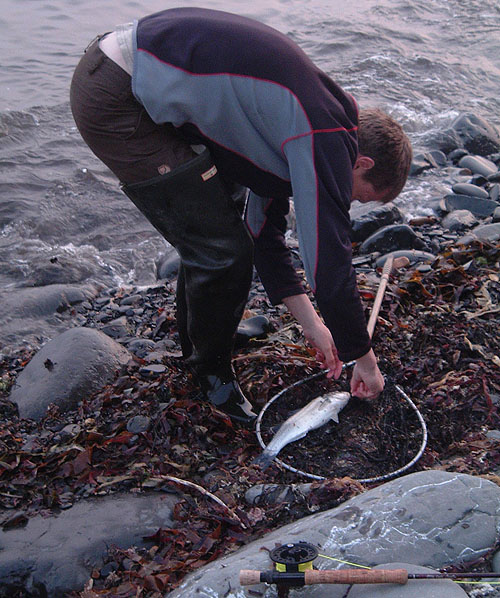 Not a mullet but never mind eh!.