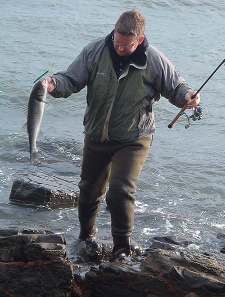 Nicely picked up and ready to unhook and release.