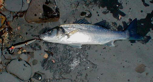 Again on the same fair sized plug.