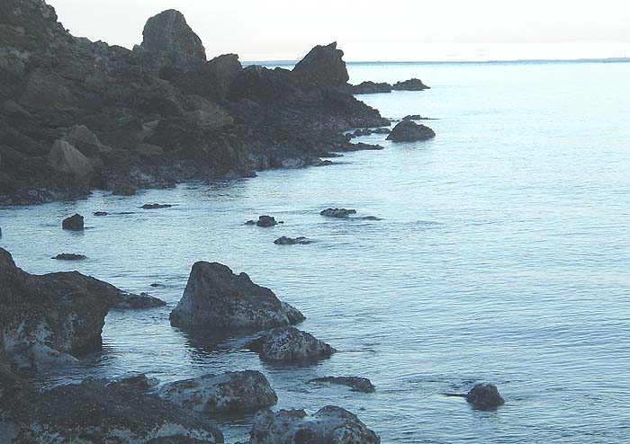 What a morning! I was standing on the big rock near the water's edge and casting in towards the shore when I caught my bass.