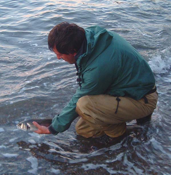 ... and Steve returned one like this.