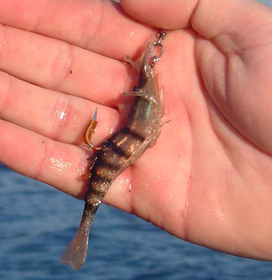 This was Richard's secret weapon.