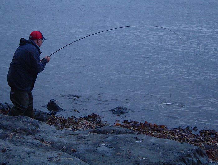 The mullet wallows in the edge after a spirited struggle.
