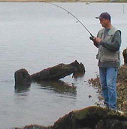 When the mullet bite it is essential to just keep reeling - NEVER strike.