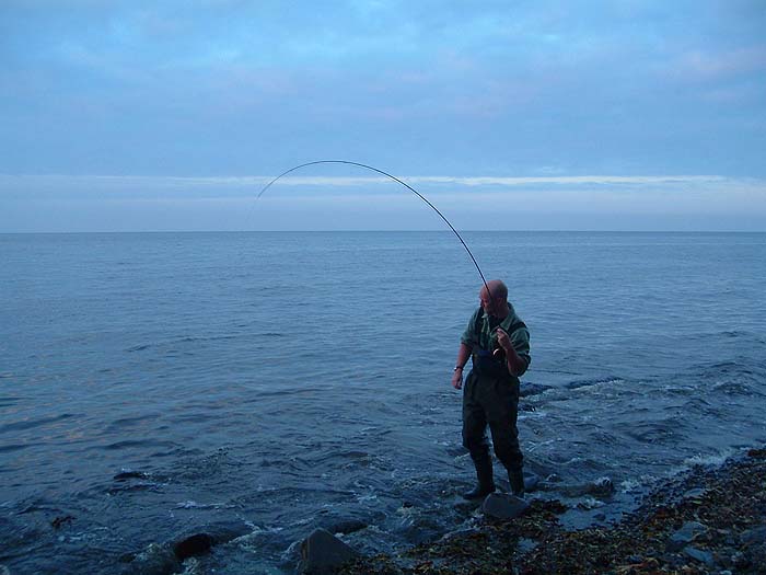 Even mullet tire after a while.