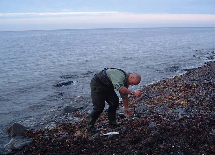 The next job's to get the hook out.